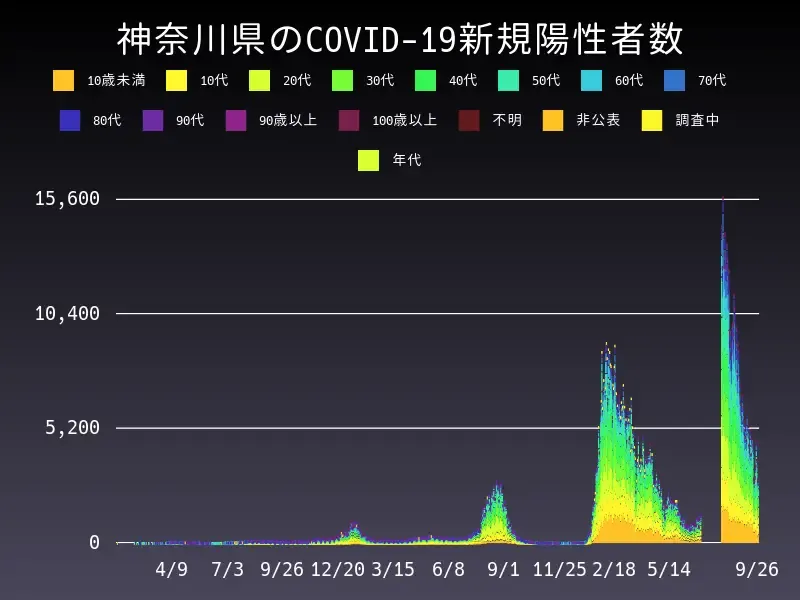 COVID-19 Case Visualization System