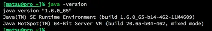 java version